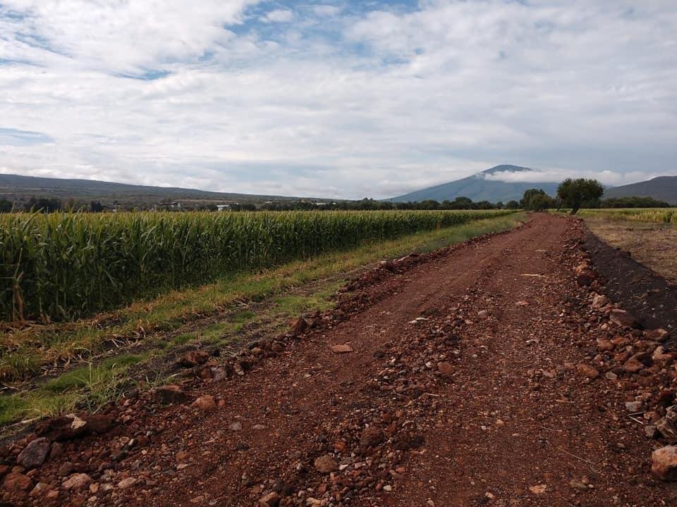 Rehabilitación de camino